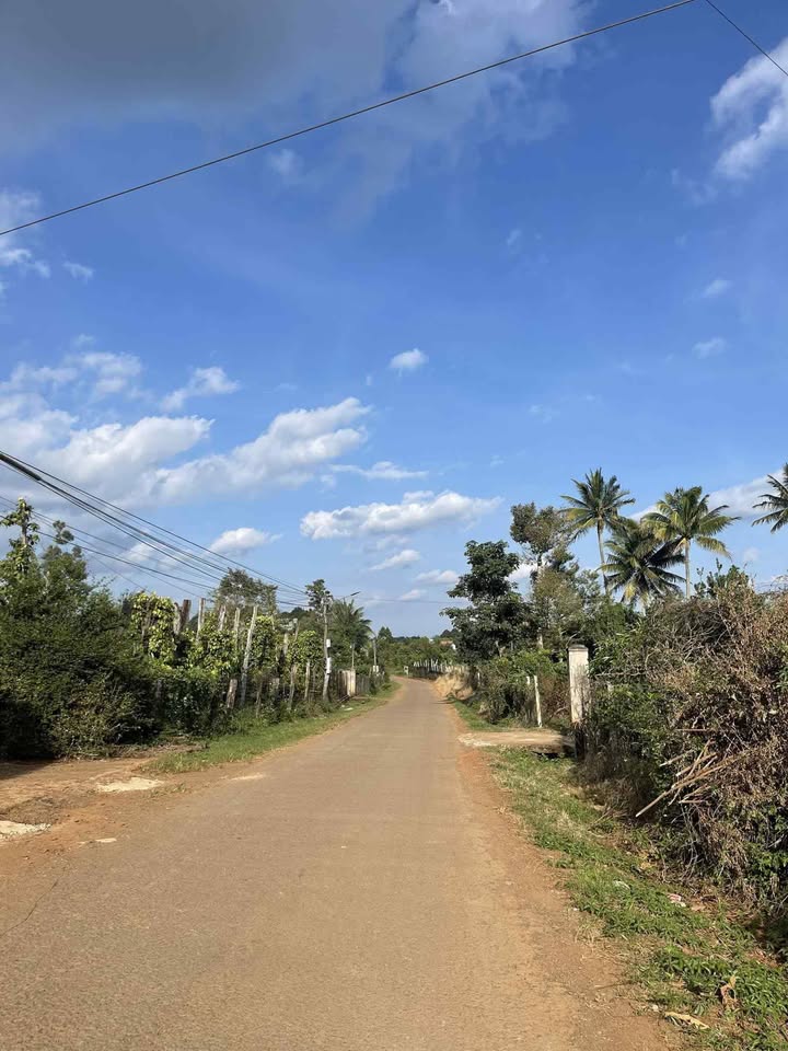 Đất nền Đắk Mil 263.2m² giá 1.5 tỷ - Vị trí thuận lợi gần trường học