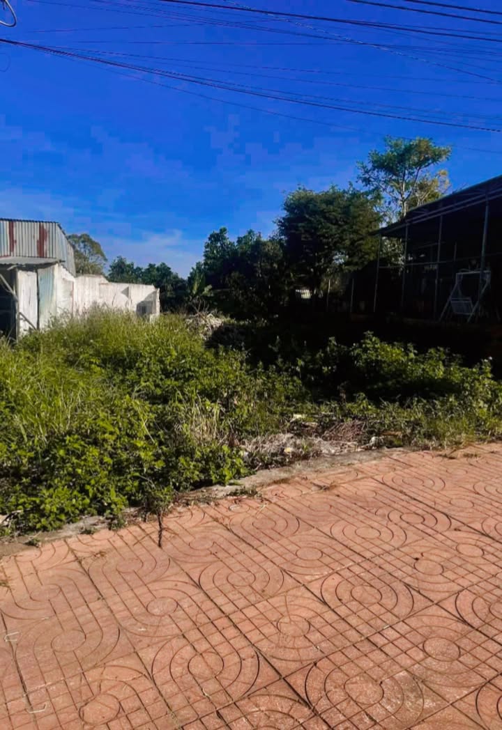 Đất nền chính chủ Đắk Mil 350m² giá 2.9 tỷ - Vị trí đắc địa, thương lượng nhẹ!