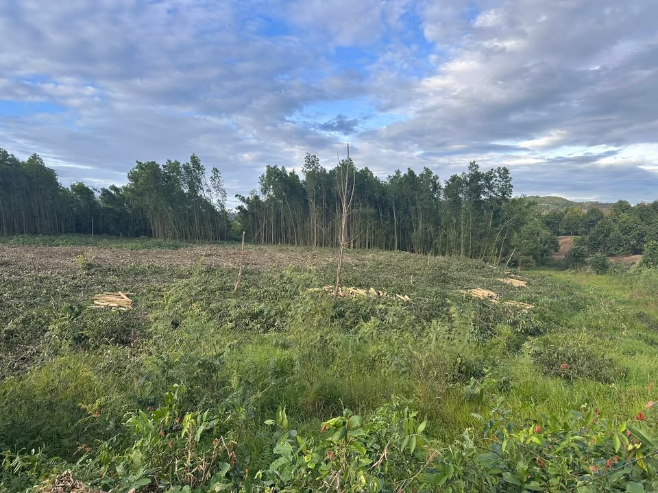 Đất chính chủ Đạ Lây 23.000m² - Sổ đỏ riêng, giáp sông lớn!