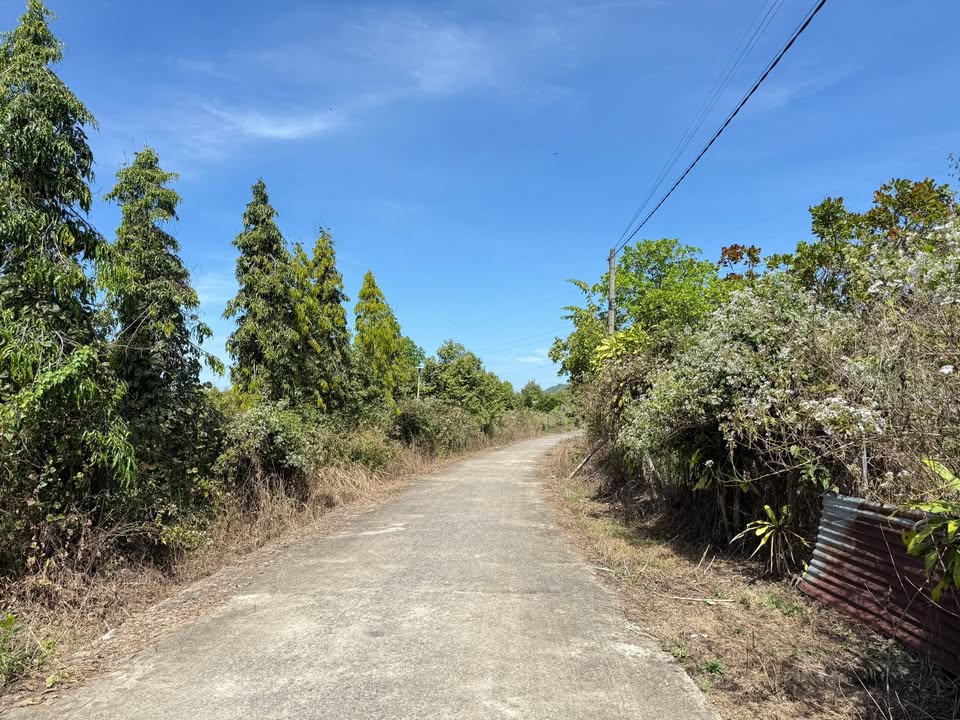 Đất nền Mađaguôi 750m² giá 800 triệu - Cơ hội đầu tư hấp dẫn!