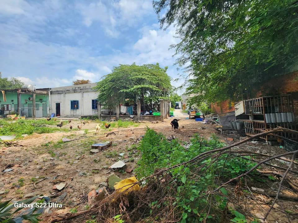 Đất nền Phú Chánh, Tân Uyên 914m² giá 13.72 tỷ - Vị trí đắc địa gần DT742!