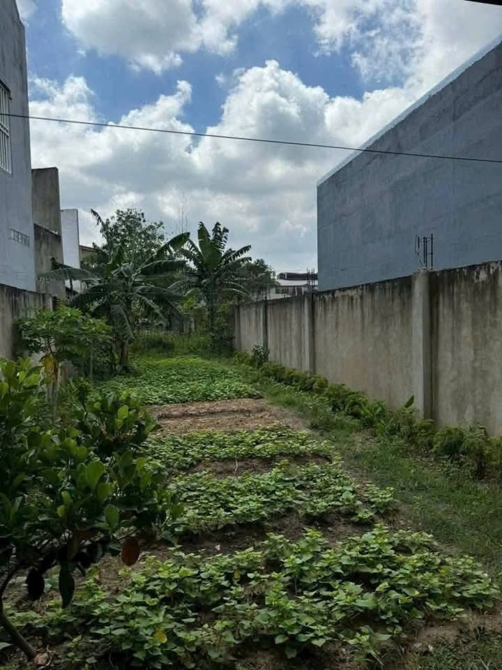 Đất thổ cư Phú Lợi, Thủ Dầu Một 365m² giá 3.65 tỷ - Đường nhựa 5m, sổ hồng chính chủ!