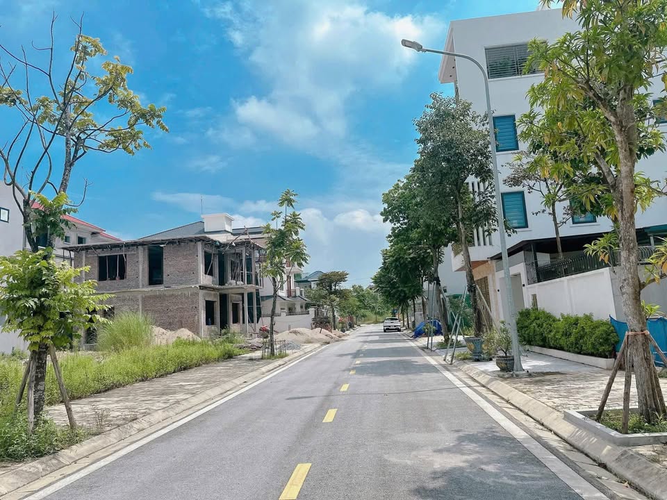 Đất biệt thự siêu đẹp đường Vũ Thê Lang, 252m² chỉ 15.12 tỷ - Cơ hội đầu tư vàng!