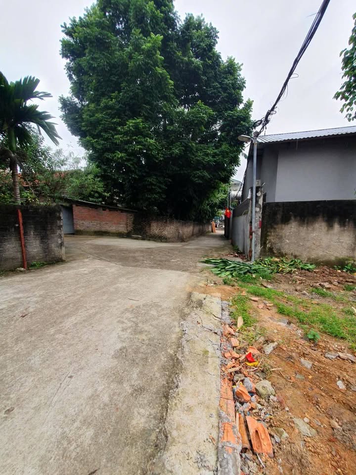 Đất nền Tân Phương, Nông Trang 58m² giá 1 tỷ - Mặt tiền 7m, gần chợ, trường học!