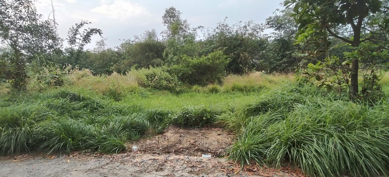 Đất nền Phước Tân, Xuyên Mộc, 192m² - Vị trí đẹp, giá thỏa thuận!