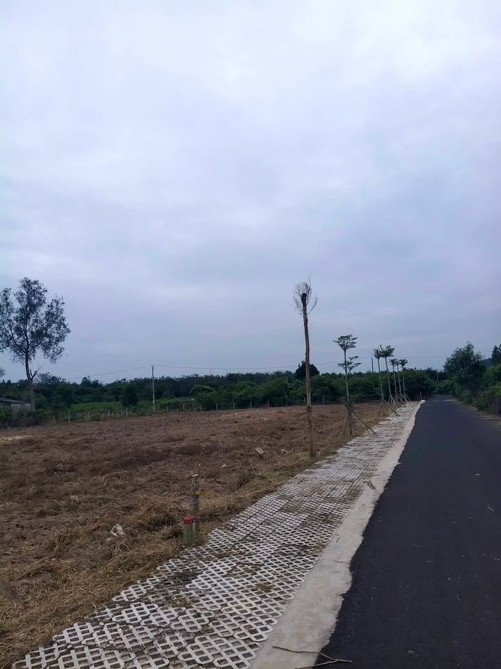 Đất nền Hòa Hội, Xuyên Mộc - 135m² chỉ 750 triệu, sổ hồng riêng!