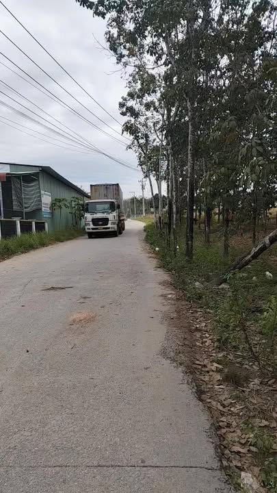 Đất Phước Hoà 7000m² giá 9 tỷ - Gần KCN Tân Bình, đầu tư sinh lời ngay!