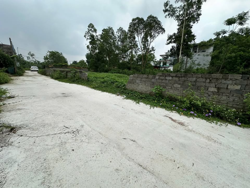 Đất nền Định Trung, Vĩnh Yên 82,5m² giá chỉ 1 tỷ - Đầu tư lý tưởng!