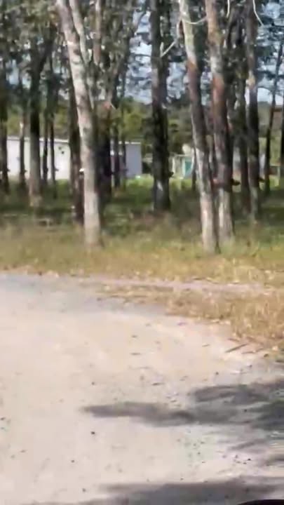 Đất nền Suối Cao, Xuân Lộc 14,400m² giá 1.2 tỷ - Cơ hội đầu tư hấp dẫn!