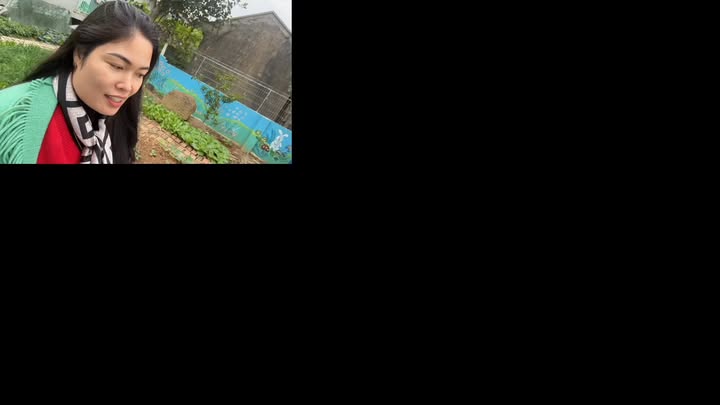 Đất vườn Vô Tranh Lục Nam 3000m² giá 1.6 tỷ - Cơ hội đầu tư tuyệt vời!