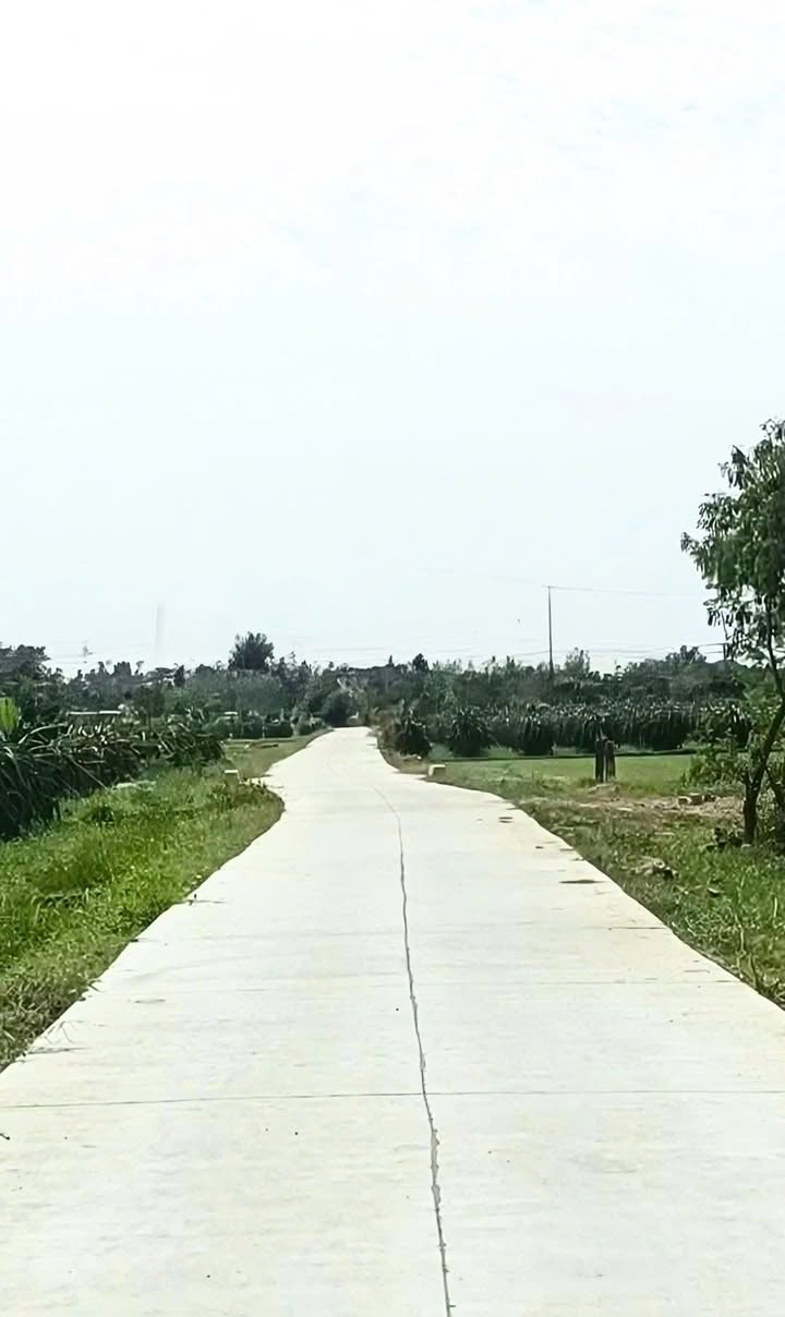 Đất thổ cư 100m² + 440m² cây trồng tại Tầm Hưng, Ma Lâm - Giá 650 triệu, cơ hội đầu tư hấp dẫn!