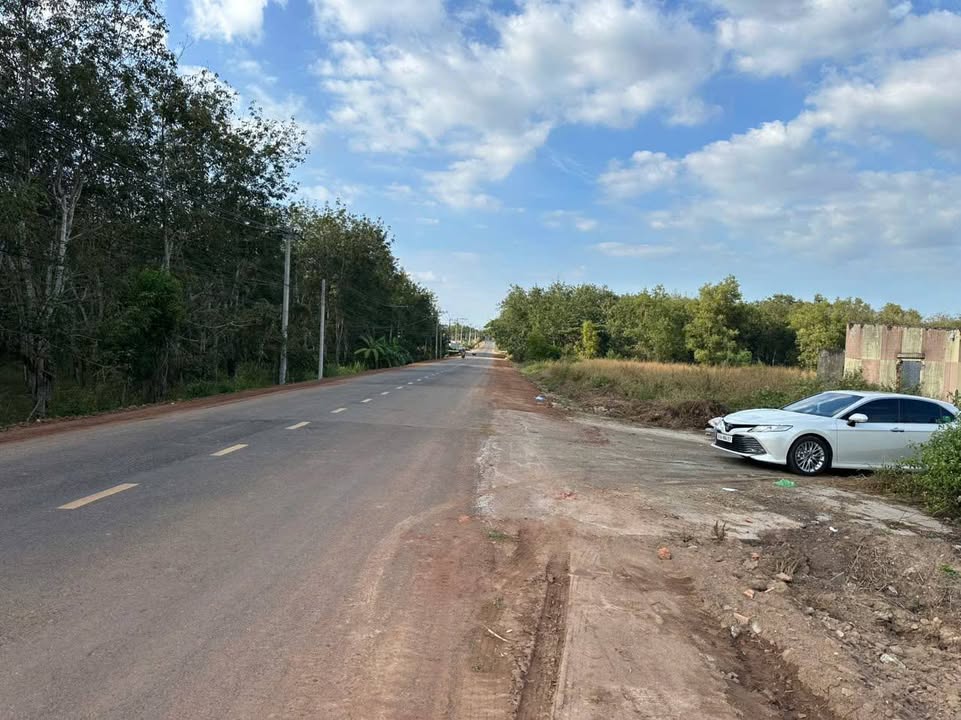 Đất SKC Dầu Tiếng Bình Dương 10.580m² giá 19 tỷ - Đầu tư sinh lời ngay!