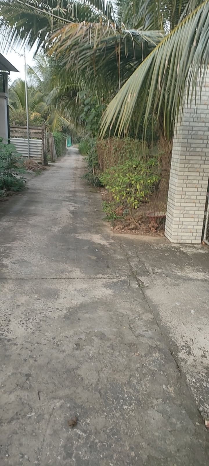 Đất thổ cư Bến Tre 103m² giá 450 triệu - Cơ hội đầu tư hấp dẫn!