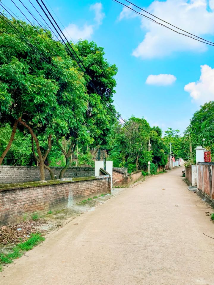 Nhà và đất kinh doanh tại Thụy An, Ba Vì 226m² giá 1 tỷ - Sẵn sàng sử dụng ngay!