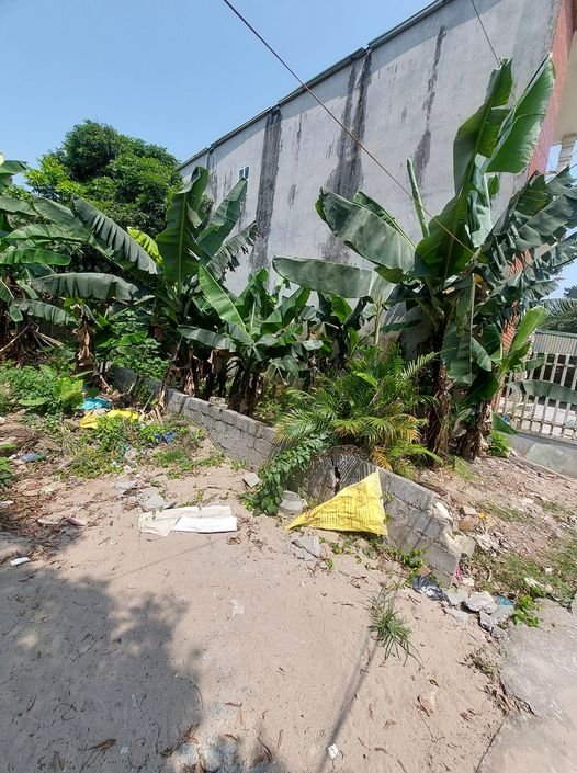 Đất thổ cư Phụng Châu, Chương Mỹ 62.3m² - Mặt tiền 4m, Giá thỏa thuận tốt!