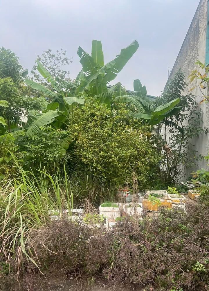 Đất nền đẹp phường Quảng Thịnh 90m² giá 2 tỷ - Đầu tư sinh lời ngay!