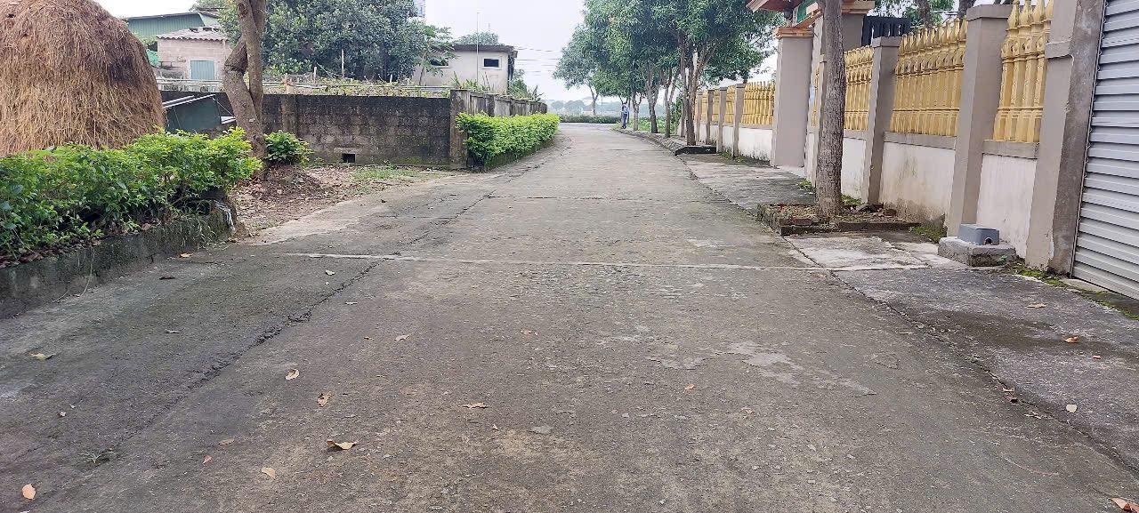 Đất Đoài Phú, Tượng Sơn 150m² giá 1.3 tỷ - Đường bê tông 6m, vị trí thuận lợi!