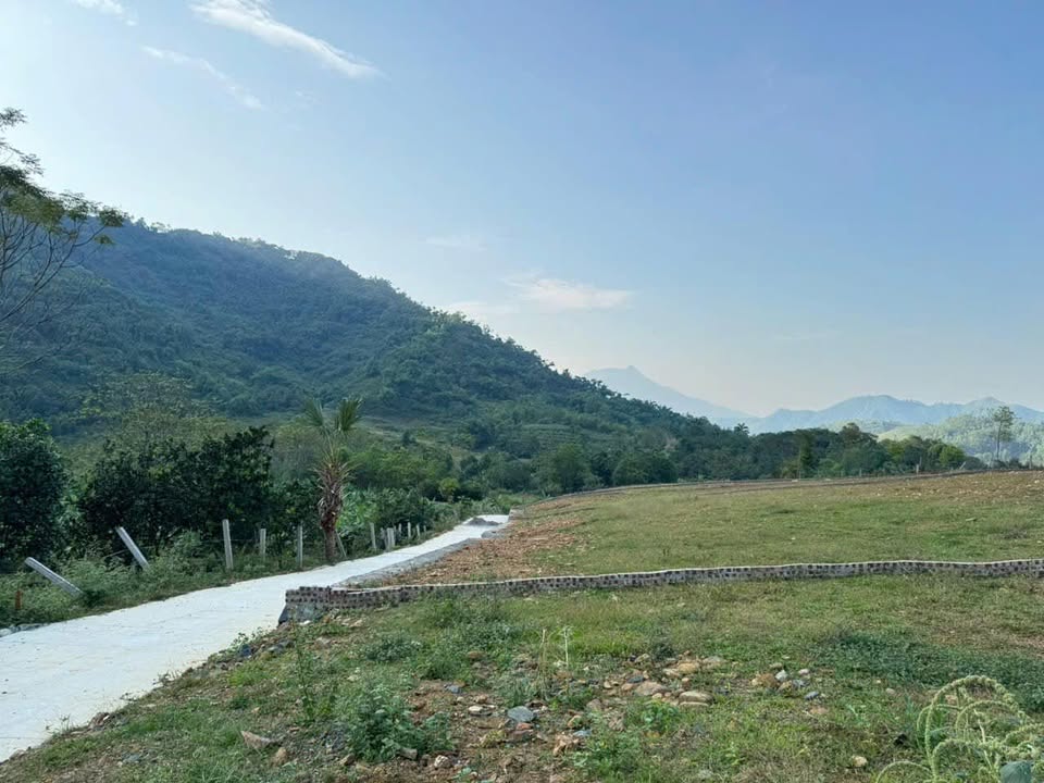 Đất nền 1000m² tại Yên Bình, Thạch Thất - View núi tuyệt đẹp, giá thỏa thuận!