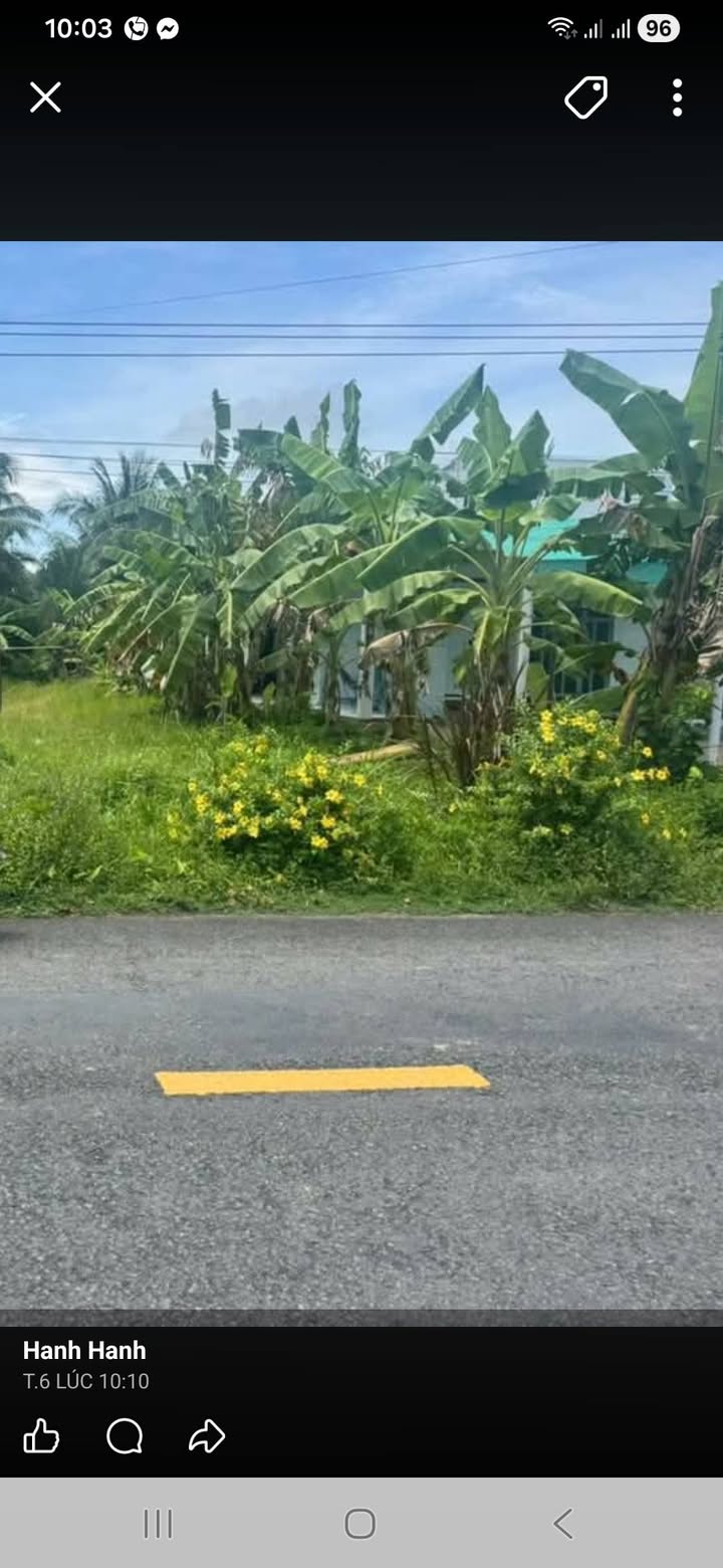 Đất nền 15x27m tại xã Nhị Long Phú, huyện Càng Long, giá 1 tỷ - Cơ hội đầu tư kinh doanh hấp dẫn!