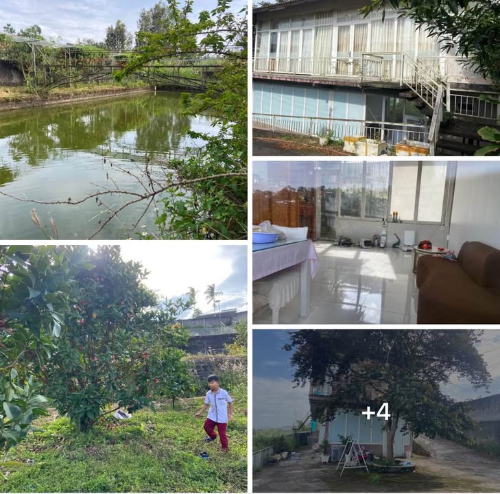 Nhà vườn cho thuê tại Dambri, Bảo Lộc 3500m² - Không gian nghỉ dưỡng lý tưởng!