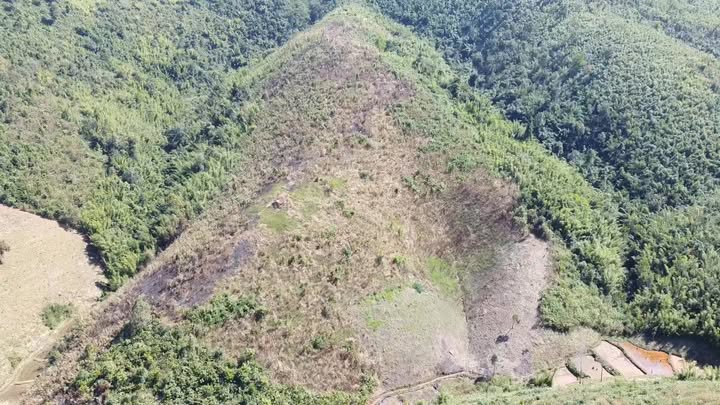 Đất rừng sản xuất Chư Păh, Gia Lai 10ha chỉ 4 tỷ - Cơ hội đầu tư hấp dẫn!