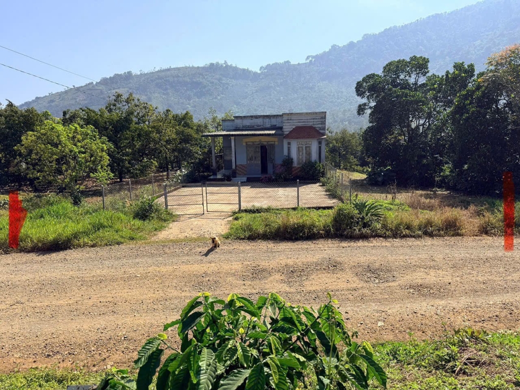 Đất nông nghiệp 9 sào sầu riêng, cafe tại Lộc Thành, Bảo Lâm - Đường nhựa ô tô tận nơi - Giá 4.5 tỷ!