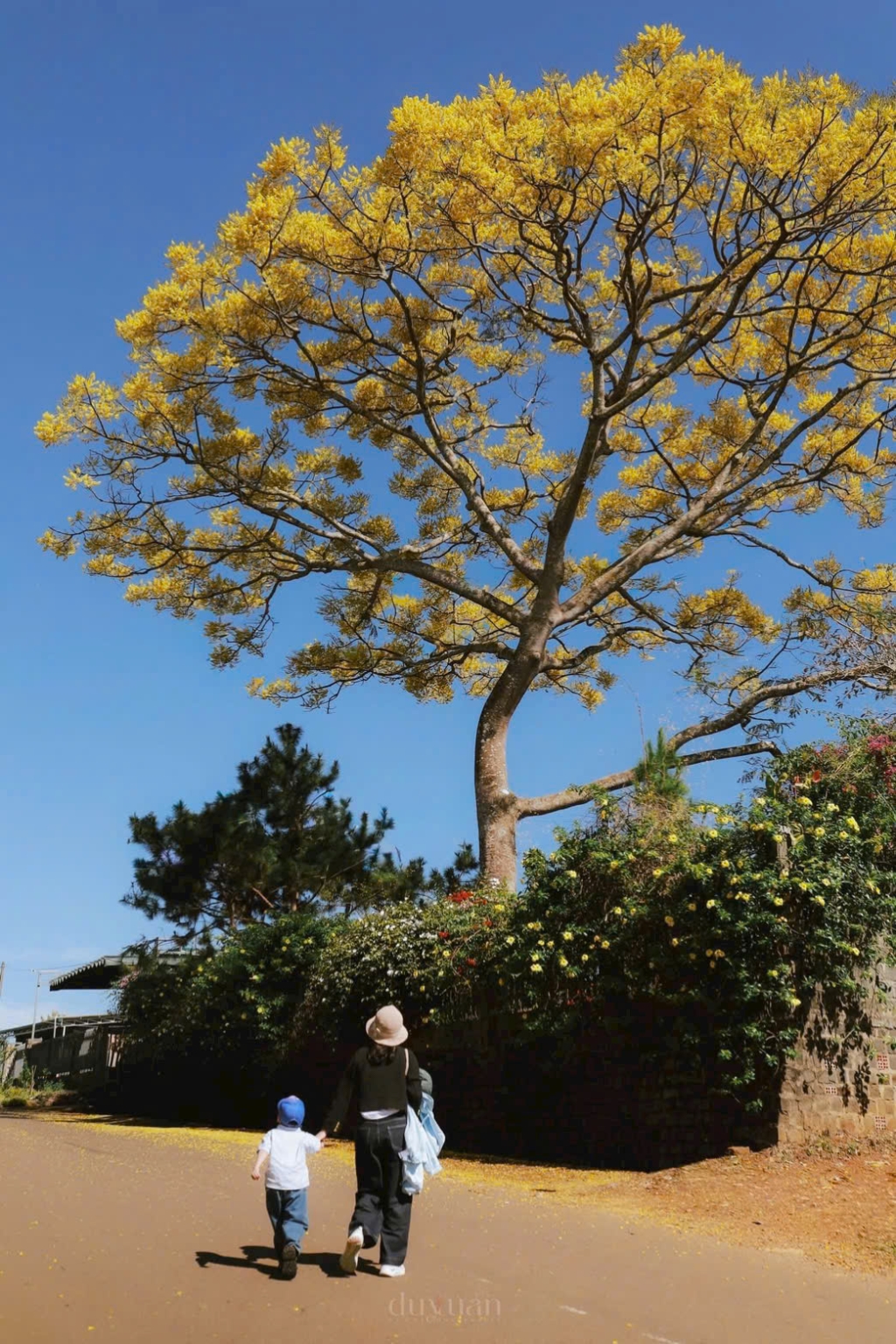 Nhà tại Bảo Lộc 125m² giá 1.29 tỷ - Nơi an trú giữa thiên nhiên trong lành!