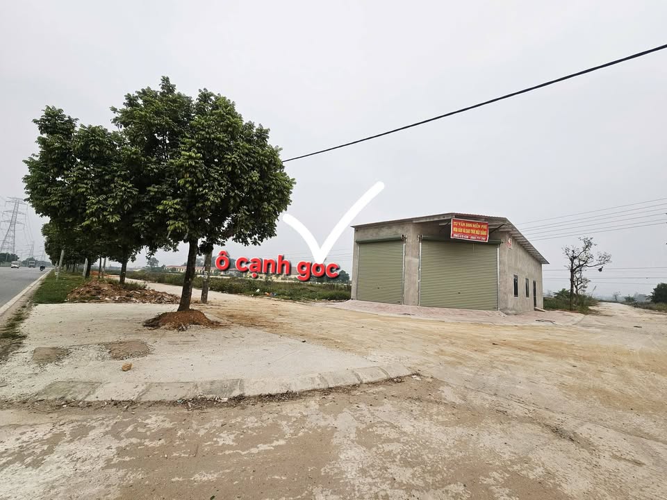 Đất đấu giá An Hòa Tam Dương 126m² chỉ 3.5 tỷ - Cơ hội đầu tư tuyệt vời!