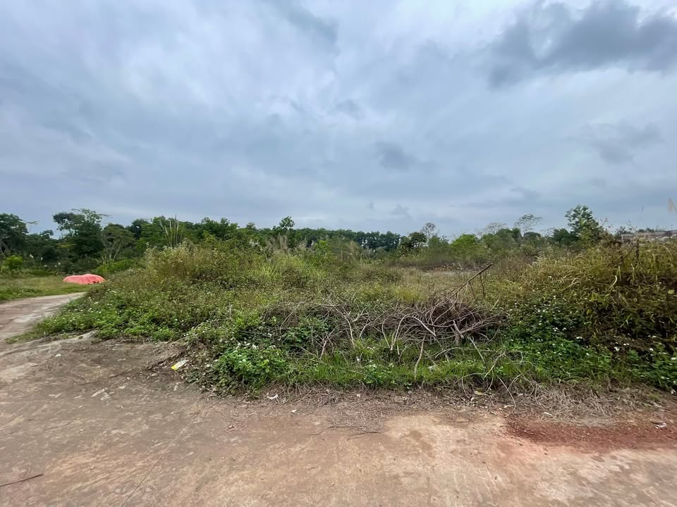 Đất nền xã Phúc Trìu, Thái Nguyên 280m² giá chỉ 1 tỷ - Cơ hội đầu tư tuyệt vời!