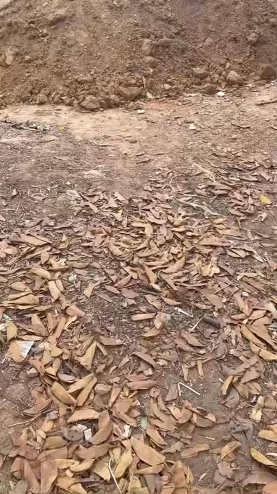 Đất nền Dương Đức, Lạng Giang 108m² giá 1 tỷ - Kinh doanh thuận lợi!