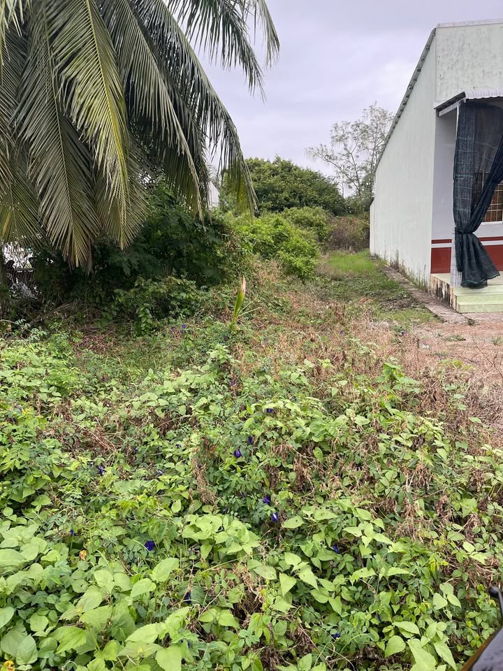 Đất nền Hiệp Thành Bạc Liêu 490m² giá thỏa thuận - Không ngập nước, ôtô vào tận nơi!