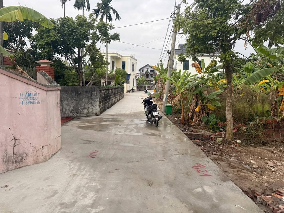 Đất nền Dương Quan, Thủy Nguyên 76m² - Đường rộng, tiện ích đa dạng!