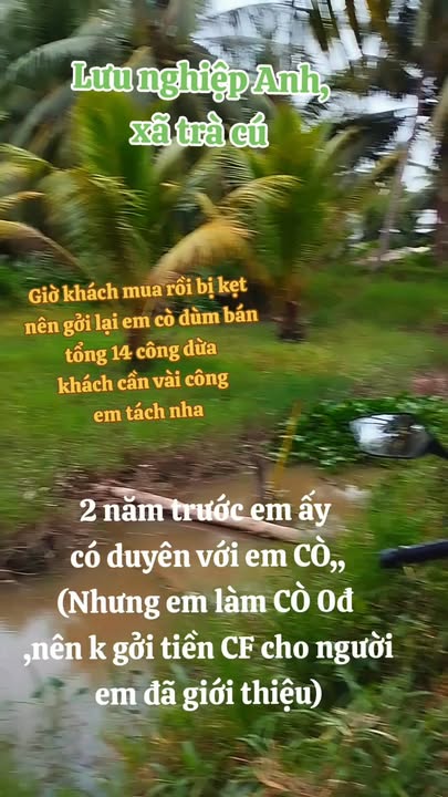 Đất nền Lưu Nghiệp Anh, Trà Cú 14.000m² - Pháp lý rõ ràng, giá tốt!