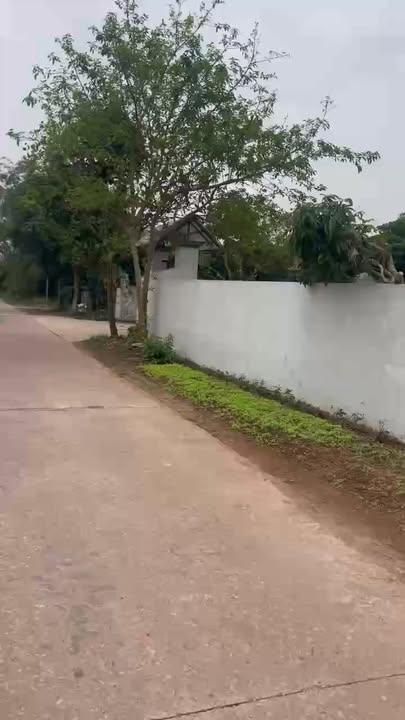 Đất nền Phúc Hòa Tân Yên 900m² giá 1 tỷ - Đầu tư sinh lời nhanh!