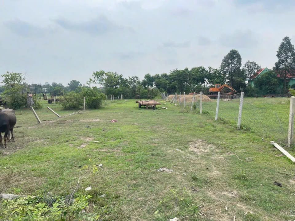 Đất nền Củ Chi 540m² giá 1.2 tỷ - Sổ đỏ chính chủ, gần chợ và trường học!