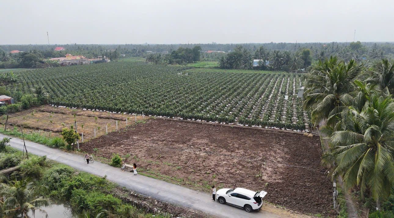 Đất nền xã An Thạnh Thủy, Chợ Gạo, Tiền Giang 129.5m² giá 290 triệu - Cơ hội đầu tư hấp dẫn!