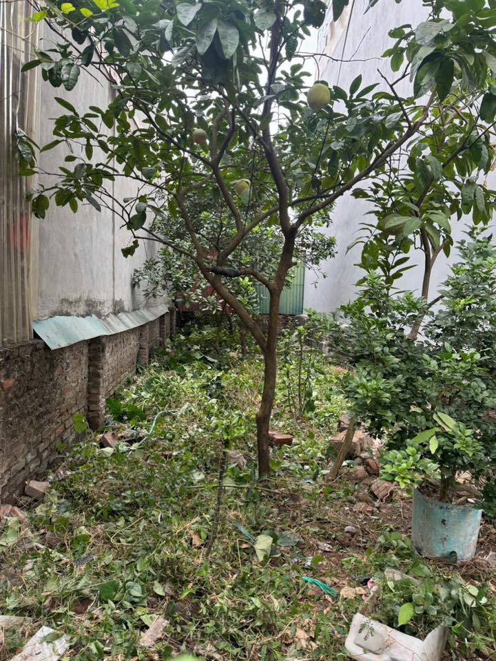 Đất nền Đông Dư Gia Lâm 60m² giá 5.4 tỷ - Cơ hội đầu tư hiếm có!