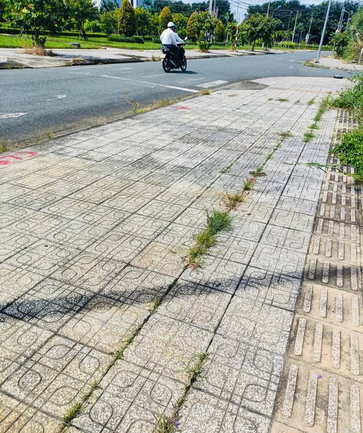 Đất nền khu Tái Định Cư Giao Long, Châu Thành, Bến Tre 120m² giá 1.15 tỷ - An cư lạc nghiệp ngay!