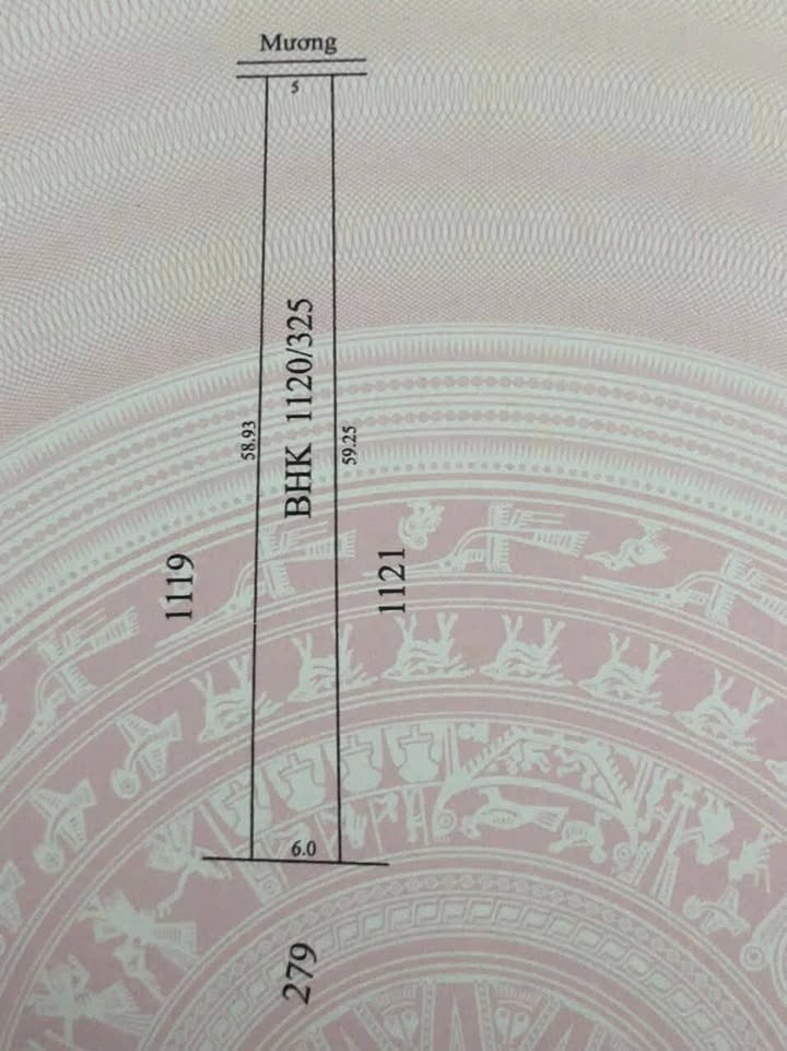 Đất nền Trảng Bàng Tây Ninh 296m² - Đường ô tô vào tận nơi!