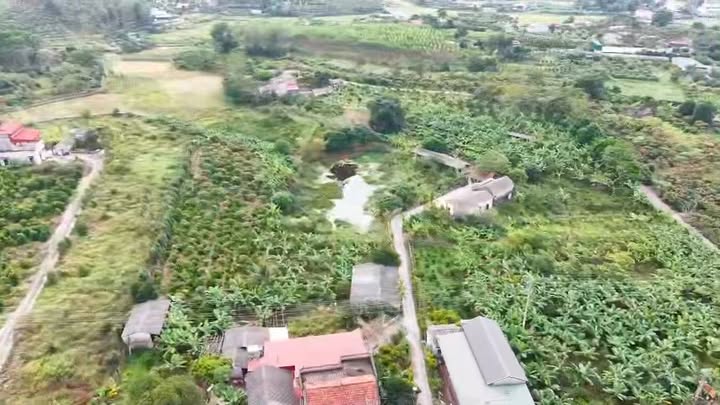 Đất nền Tân Sỏi Yên Thế 9800m² giá 6 tỷ - Cơ hội đầu tư không thể bỏ lỡ!