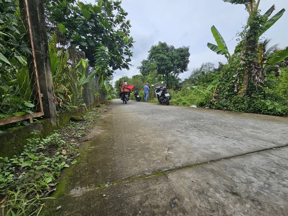 Đất nền 234m² An Bình, Cần Thơ giá 1.55 tỷ - Cơ hội đầu tư tuyệt vời!