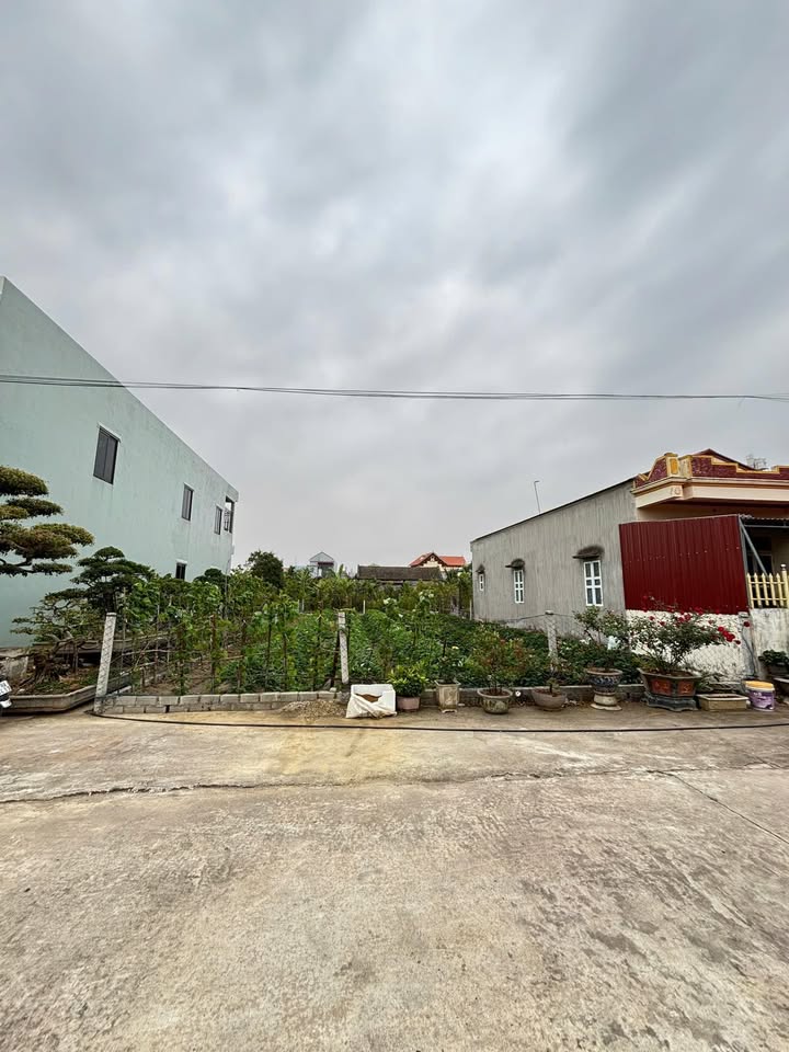 Bán đất Thịnh Long, Hải Hậu 296m² - Vị trí đẹp, giá tốt!