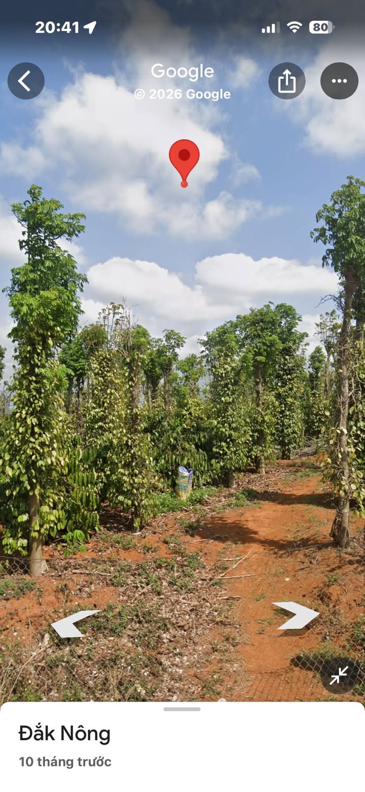 Đất nền 52m² tại Thuận Bình, Đắk Song giá chỉ 2.3 tỷ - Cơ hội đầu tư hấp dẫn!