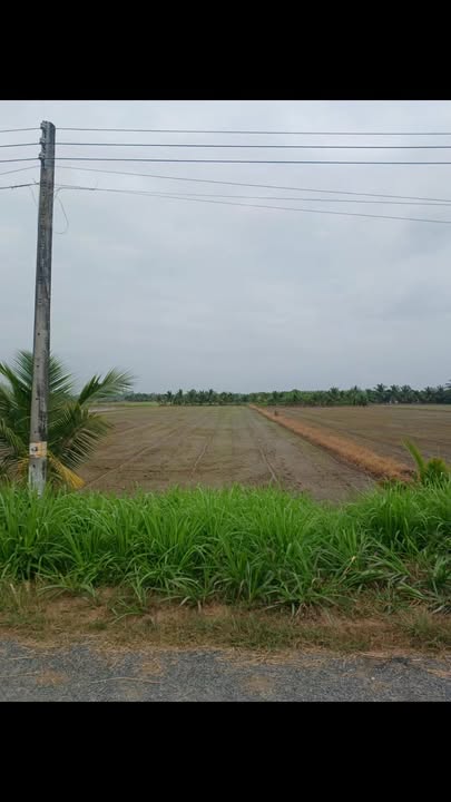 Đất mặt tiền đường nhựa ấp Xoài Thum, 43200m² giá 7.5 tỷ - Cơ hội đầu tư hấp dẫn!