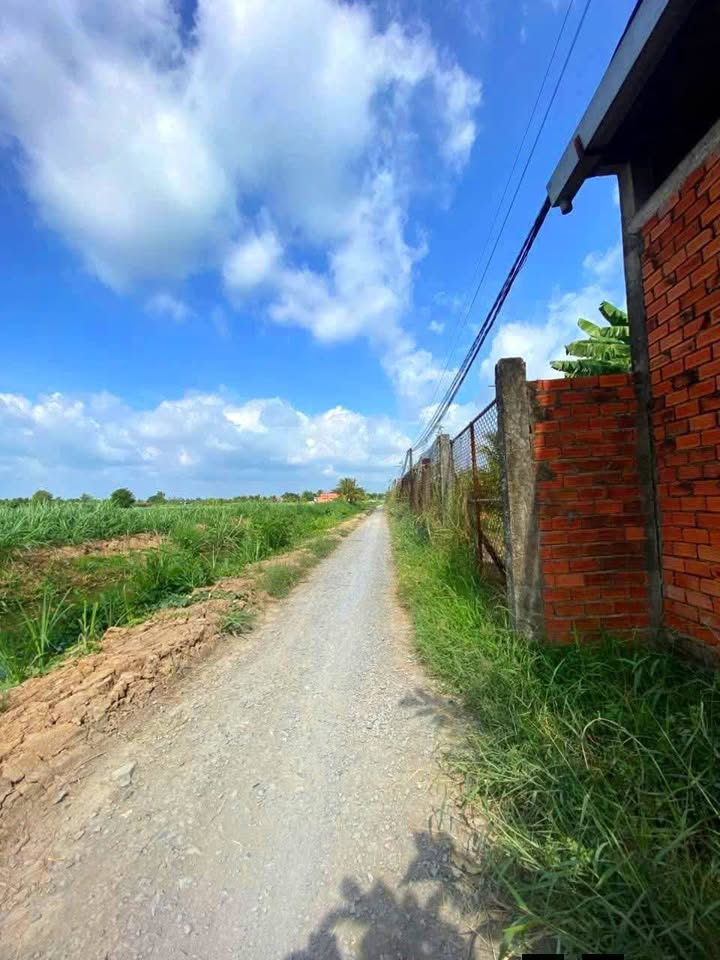 Đất nền 1000m² xã An Bình Tây, Ba Tri giá 480 triệu - Tiềm năng phát triển cao!