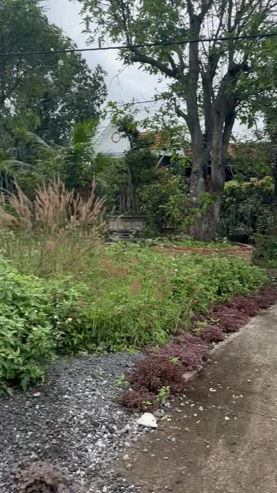 Đất nền Farm 4800m² tại Phú Yên - Mặt tiền Quốc lộ 29, cơ hội đầu tư tuyệt vời!