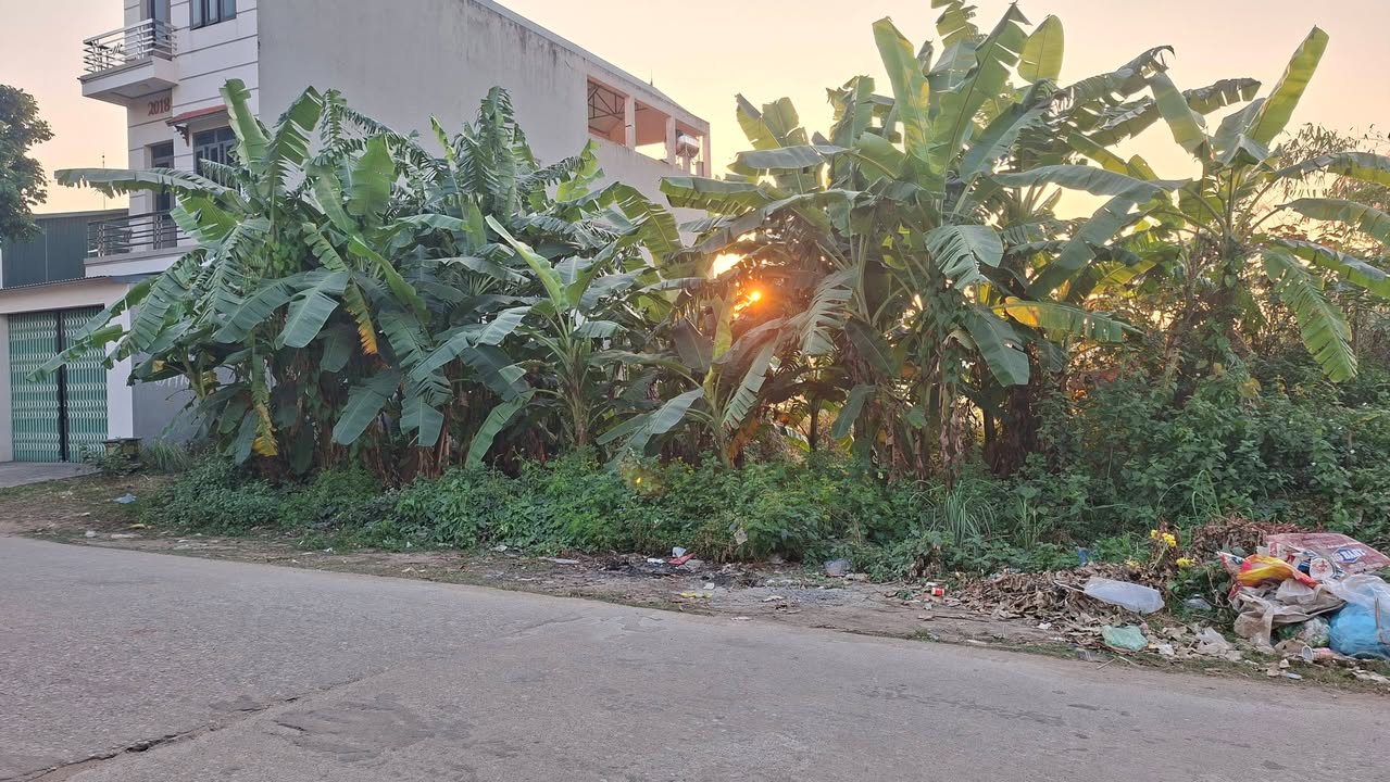 Đất nền Tân An Bắc Giang 200m² giá chỉ 4xxx - Cơ hội đầu tư tuyệt vời!