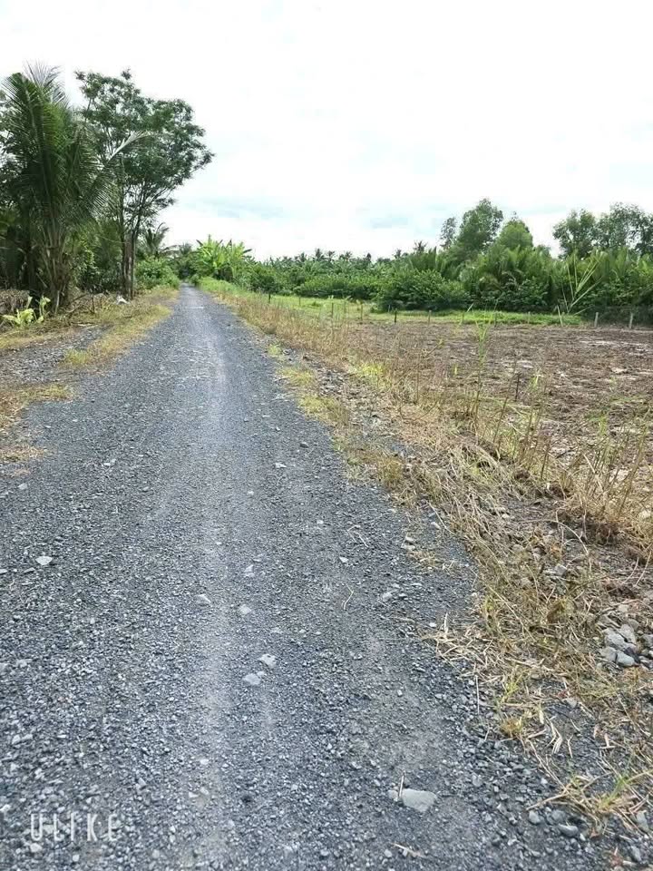 Đất vườn Phú Ngãi Trị, Châu Thành, Long An 986m² giá 850 triệu - View sông Vàm Cỏ tuyệt đẹp!