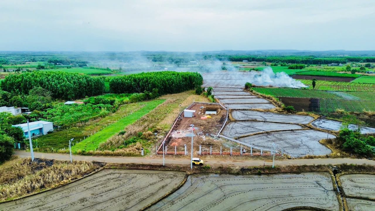 Đất vườn 2000m² tại xã Đất Đỏ, Bình Chánh - Giá chỉ 3.5 tỷ, view lúa thoáng mát!