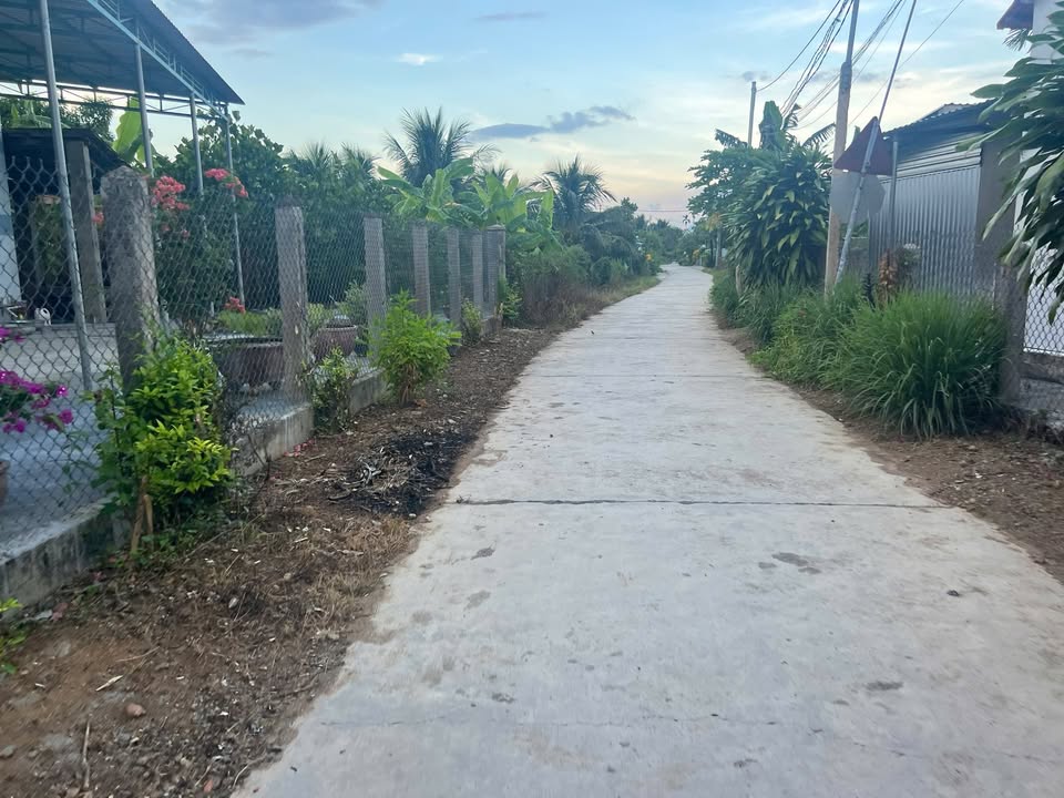 Đất Ninh Hưng Ninh Hòa 155.6m² giá chỉ 650 triệu - Cơ hội đầu tư tuyệt vời!